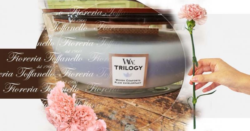 FIORERIA TOFFANELLO - Offerta vendita online candela woodwick woven comforts profumatore ambiente